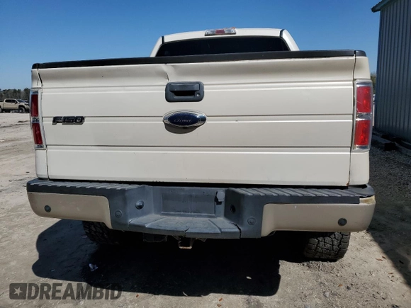2009 Ford F-150 XL with VIN 1FTPW12V39FA04601, listed as a Copart auction lot 48905855 with 0 mi miles and Clean Title. Bid and sale history available at carsss.com. Image 6.