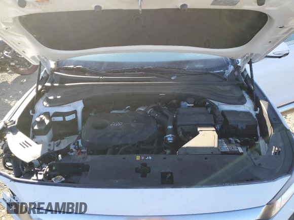 2019 Hyundai Santa Fe Ultimate with VIN 5NMS5CAA2KH030915, listed as a Copart auction lot 44749295 with 45,285 mi miles and Salvage Title. Bid and sale history available at carsss.com. Image 12.
