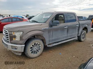 2016 Ford F-150 XLT with VIN 1FTEW1EF3GKD36571, listed as a Copart auction lot 59900635 with 205,664 mi miles and Salvage title. Bid and sale history available at DreamBid. Image 1.