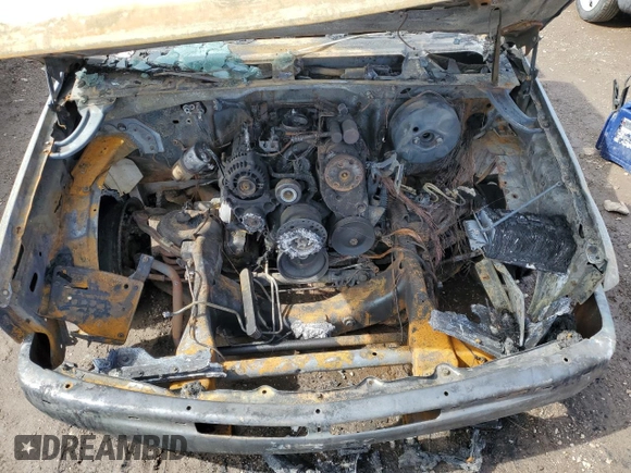 1999 Chevrolet Silverado 1500 with VIN 1GCEC14W5XZ177120, listed as a Copart auction lot 49986155 with 0 mi miles and Salvage Title. Bid and sale history available at carsss.com. Image 11.