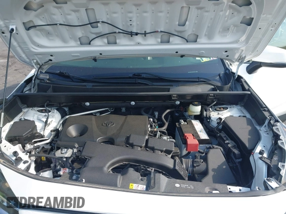 2019 Toyota RAV4 XLE Premium with VIN JTMA1RFV9KD013771, listed as a IAAI auction lot 42055558 with 36,585 mi miles. Bid and sale history available at carsss.com. Image 10.