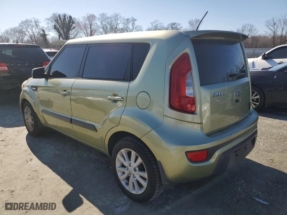 2013 Kia Soul with VIN KNDJT2A51D7550595, listed as a Copart auction lot 48865445 with 0 mi miles and Salvage Title. Bid and sale history available at carsss.com. Image 2.