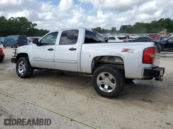 2013 Chevrolet Silverado 1500 LT with VIN 3GCPKSE72DG156102, listed as a Copart auction lot 52367725 with 254,388 mi miles and Salvage Title. Bid and sale history available at DreamBid. Image 2.