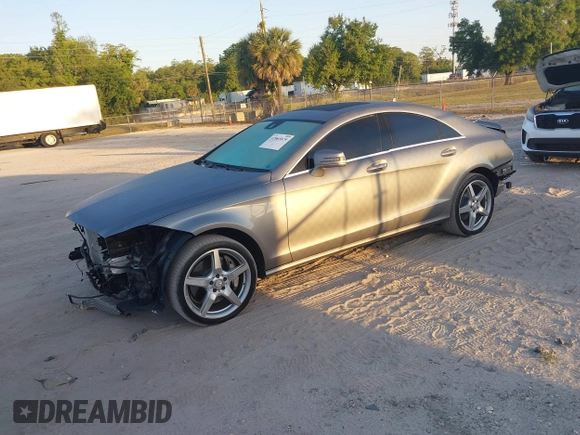2013 Mercedes-Benz CLS-Class CLS 550 with VIN WDDLJ7DB7DA072530, listed as a IAAI auction lot 42065879 with 123,254 mi miles. Bid and sale history available at carsss.com. Image 22.