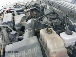 2010 Ford F-150 XL with VIN 1FTEX1CW3AFB23197, listed as a IAAI auction lot 43077100 with 223,543 mi miles and . Bid and sale history available at DreamBid. Image 20.