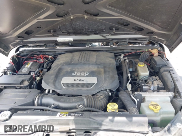 2017 Jeep Wrangler Unlimited Sport with VIN 1C4BJWDG6HL517779, listed as a IAAI auction lot 42134534 with 128,701 mi miles and . Bid and sale history available at DreamBid. Image 10.