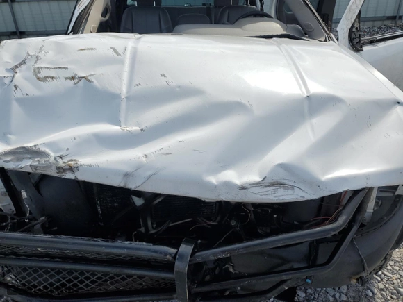 2009 Chevrolet Silverado 1500 Work Truck with VIN 1GCEK19069Z196320, listed as a Copart auction lot 46477195 with 0 mi miles and Salvage Title. Bid and sale history available at carsss.com. Image 13.