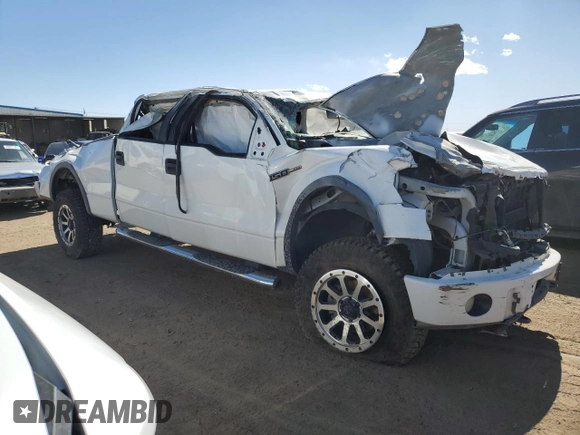 2009 Ford F-150 XL with VIN 1FTPW14V19FA66429, listed as a Copart auction lot 46923705 with 157,630 mi miles and Non Repairable. Bid and sale history available at DreamBid. Image 4.