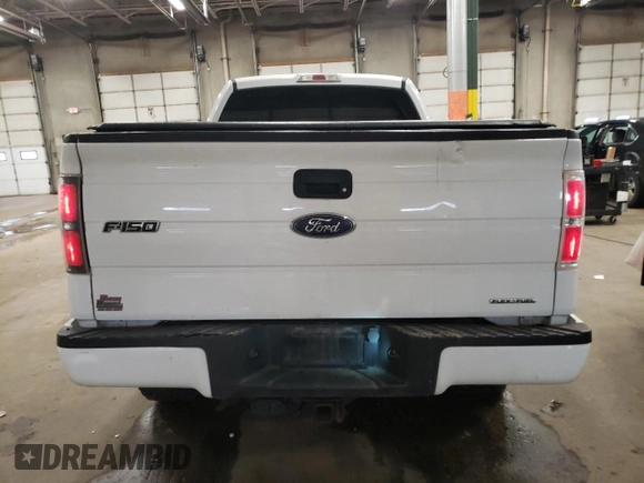 2013 Ford F-150 XL with VIN 1FTMF1EF6DFB52970, listed as a Copart auction lot 89300035 with 189,882 mi miles and Salvage Title. Bid and sale history available at DreamBid. Image 6.