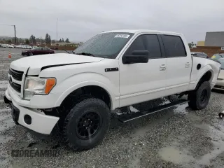 2012 Ford F-150 XL with VIN 1FTFW1ET1CFC09699, listed as a Copart auction lot 48253405 with 189,050 mi miles and Salvage Title. Bid and sale history available at carsss.com. Image 1.