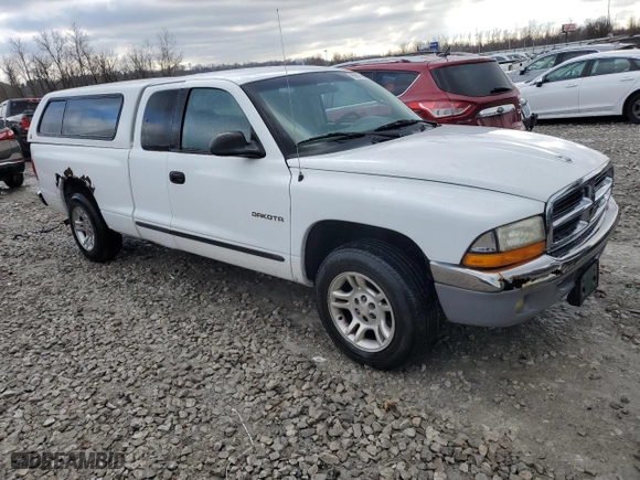 2001 Dodge Dakota with VIN 1B7GL22X61S343302, listed as a Copart auction lot 85501134 with 170,049 mi miles and Salvage Title. Bid and sale history available at carsss.com. Image 4.