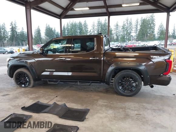 2023 Toyota Tundra Limited with VIN 5TFJA5DB9PX125400, listed as a IAAI auction lot 41336129 with 12,384 mi miles and . Bid and sale history available at DreamBid. Image 15.