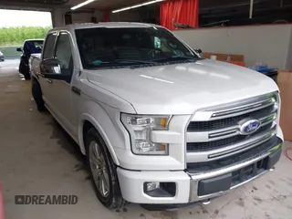 2016 Ford F-150 XLT z VIN 1FTEW1EG9GFD07335, wystawiony jako IAAI lot #42324340 z przebiegiem 74 079 mil mil oraz . Historia ofert i sprzedaży dostępna na DreamBid. Obrazek 1.