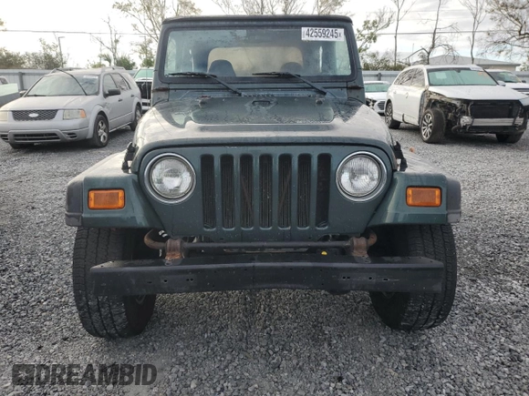 2002 Jeep Wrangler Sport with VIN 1J4FA49SX2P726553, listed as a Copart auction lot 42559245 with 198,584 mi miles and Clean Title. Bid and sale history available at carsss.com. Image 5.