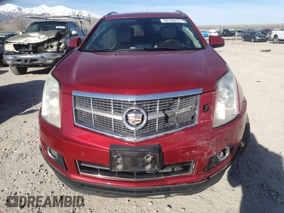 2011 Cadillac SRX Premium Collection with VIN 3GYFNFEY6BS524546, listed as a Copart auction lot 50790475 with 0 mi miles and Salvage Title. Bid and sale history available at carsss.com. Image 5.
