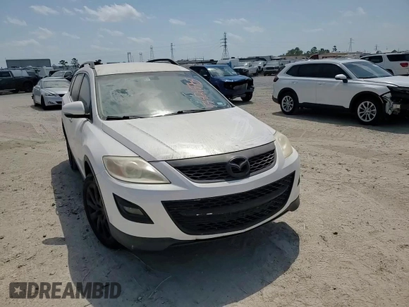 2010 Mazda CX-9 Sport with VIN JM3TB2MA9A0209123, listed as a Copart auction lot 53829575 with 173,489 mi miles and Salvage Title. Bid and sale history available at DreamBid. Image 14.