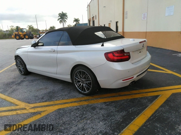 2017 BMW 2 Series 230i with VIN WBA2K9C38HV950695, listed as a IAAI auction lot 41610243 with 102,191 mi miles and . Bid and sale history available at DreamBid. Image 4.