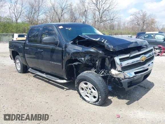 2009 Chevrolet Silverado 1500 LT with VIN 3GCEC23019G278743, listed as a IAAI auction lot 41997695 with 139,718 mi miles. Bid and sale history available at carsss.com. Image 1.