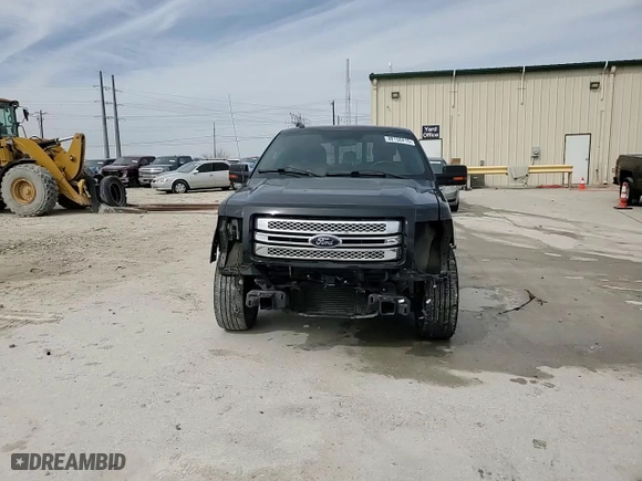 2013 Ford F-150 XL with VIN 1FTFW1CT4DFB36445, listed as a Copart auction lot 48150415 with 317,694 mi miles and Salvage Title. Bid and sale history available at carsss.com. Image 14.