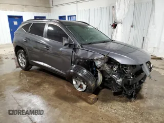 2022 Hyundai Tucson SEL with VIN KM8JB3AE0NU066098, listed as a Copart auction lot 49412145 with 103,406 mi miles and Salvage Title. Bid and sale history available at carsss.com. Image 4.