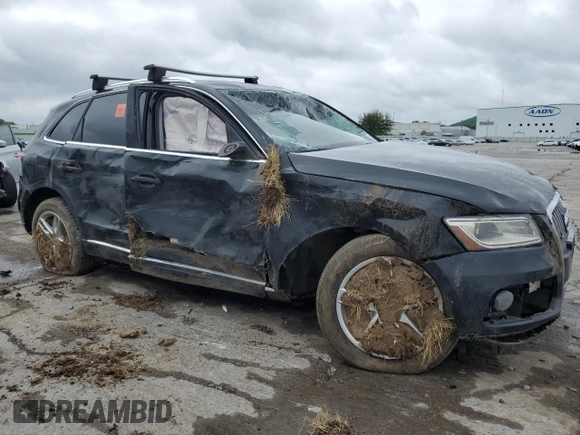2013 Audi Q5 Premium Plus with VIN WA1LFAFP0DA007899, listed as a Copart auction lot 61058055 with Not provided miles and Salvage title. Bid and sale history available at DreamBid. Image 4.