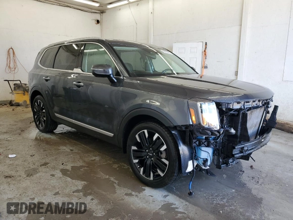 2024 Kia Telluride SX X-Line with VIN 5XYP5DGC8RG419163, listed as a Copart auction lot 48467455 with 31,089 mi miles and Salvage Title. Bid and sale history available at carsss.com. Image 4.