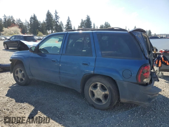 2005 Chevrolet TrailBlazer LT with VIN 1GNDT13S452373265, listed as a Copart auction lot 53399925 with Not Provided miles and Salvage Title. Bid and sale history available at DreamBid. Image 2.