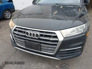 2019 Audi Q5 Premium with VIN WA1ANAFY5K2039094, listed as a IAAI auction lot 41333509 with 45,956 mi miles. Bid and sale history available at carsss.com. Image 16.