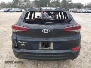 2017 Hyundai Tucson SE with VIN KM8J23A44HU455869, listed as a Copart auction lot 48906865 with Not Provided miles and Non Repairable. Bid and sale history available at DreamBid. Image 6.