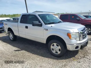 2011 Ford F-150 XL with VIN 1FTFX1EF3BFC18927, listed as a Copart auction lot 53183275 with 113,140 mi miles and Salvage Title. Bid and sale history available at DreamBid. Image 4.