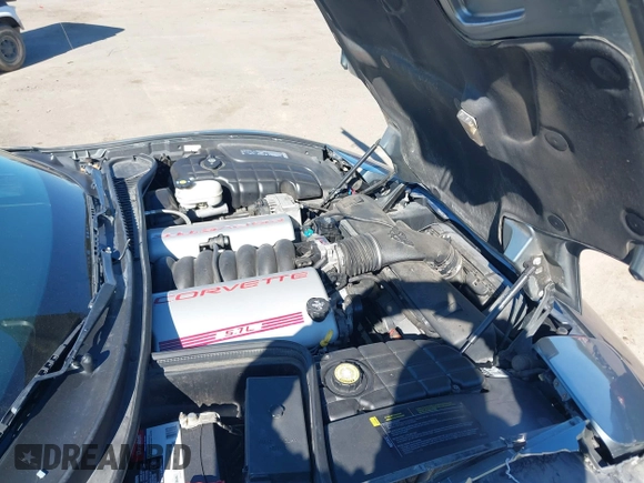 2004 Chevrolet Corvette with VIN 1G1YY22G945118132, listed as a IAAI auction lot 41671066 with Not Provided miles and . Bid and sale history available at DreamBid. Image 10.