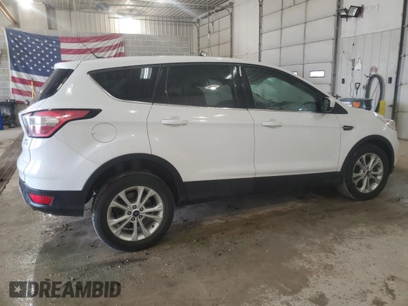 2017 Ford Escape SE with VIN 1FMCU0GD5HUD28394, listed as a Copart auction lot 52079995 with 120,223 mi miles and Salvage Title. Bid and sale history available at DreamBid. Image 3.