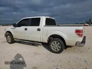 2013 Ford F-150 XL with VIN 1FTFW1CF6DKF13715, listed as a Copart auction lot 55394455 with 265,607 mi miles and Clean Title. Bid and sale history available at carsss.com. Image 2.