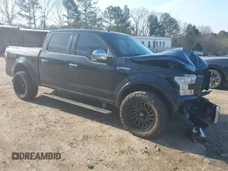 2017 Ford F-150 XL with VIN 1FTEW1EF3HFA84749, listed as a IAAI auction lot 41476220 with 174,958 mi miles. Bid and sale history available at carsss.com. Image 1.