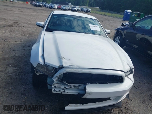 2013 Ford Mustang V6 with VIN 1ZVBP8AMXD5281234, listed as a IAAI auction lot 42260113 with 124,188 mi miles and . Bid and sale history available at DreamBid. Image 12.