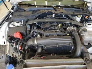 2025 Ford Mustang EcoBoost с VIN 1FAGP8UH2S5106907, выставлен на аукционе Copart как лот 80636955 с пробегом 15 315 миль миль и Чистый • Clean title. История ставок и продаж доступна на DreamBid. Изображение 14.