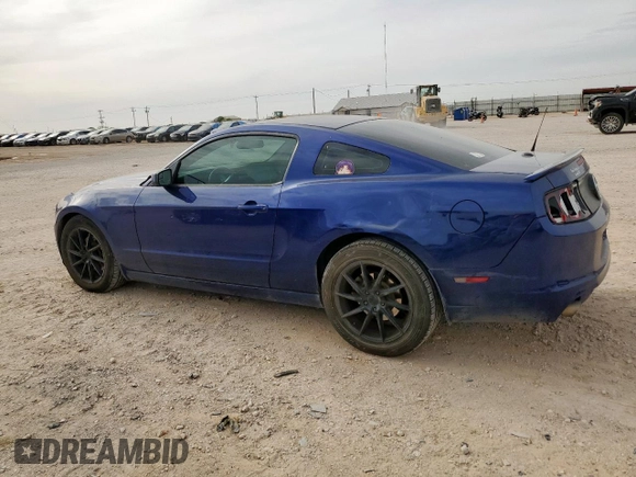2014 Ford Mustang V6 with VIN 1ZVBP8AM2E5215150, listed as a Copart auction lot 56136135 with 189,225 mi miles and Salvage title. Bid and sale history available at DreamBid. Image 2.