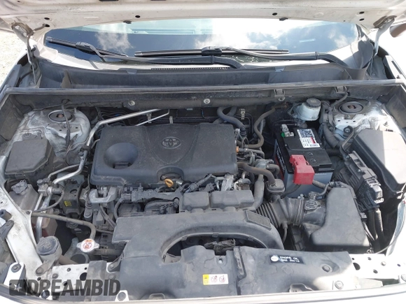 2019 Toyota RAV4 XLE with VIN 2T3W1RFV6KC024382, listed as a IAAI auction lot 42178430 with 118,663 mi miles and . Bid and sale history available at DreamBid. Image 10.