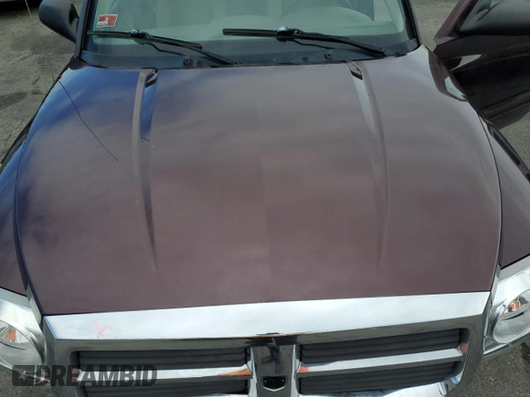2005 Dodge Dakota SLT with VIN 1D7HW48N95S167516, listed as a Copart auction lot 49378105 with Not Provided miles and Salvage Title. Bid and sale history available at DreamBid. Image 11.