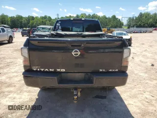 2016 Nissan Titan Platinum Reserve with VIN 1N6BA1F48GN513710, listed as a Copart auction lot 61187715 with 291,548 mi miles and Clean title. Bid and sale history available at DreamBid. Image 6.