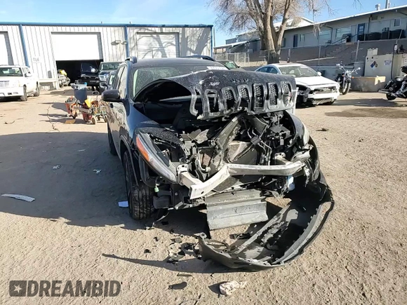 2016 Jeep Cherokee Sport with VIN 1C4PJMAS9GW344548, listed as a Copart auction lot 49256645 with 105,282 mi miles and Salvage Title. Bid and sale history available at carsss.com. Image 11.