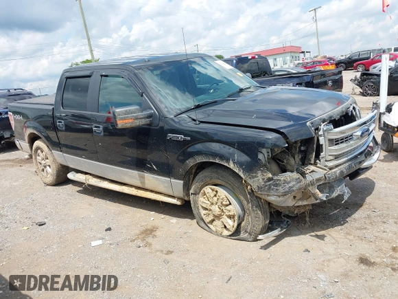 2013 Ford F-150 XL with VIN 1FTFW1EF5DFB95804, listed as a IAAI auction lot 42354290 with 115,206 mi miles and . Bid and sale history available at DreamBid. Image 13.