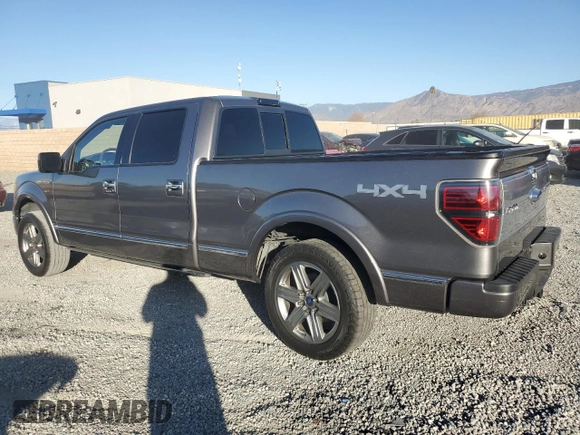 2009 Ford F-150 XL with VIN 1FTPW14V39FB05831, listed as a Copart auction lot 85943924 with 133,893 mi miles and Salvage title. Bid and sale history available at DreamBid. Image 2.