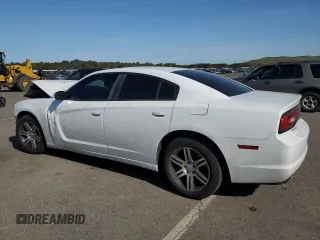 2013 Dodge Charger Police z VIN 2C3CDXAG3DH521581, wystawiony jako Copart lot #55010665 z przebiegiem 112 654 mil mil oraz Szkoda całkowita • Salvage title. Historia ofert i sprzedaży dostępna na DreamBid. Obrazek 2.