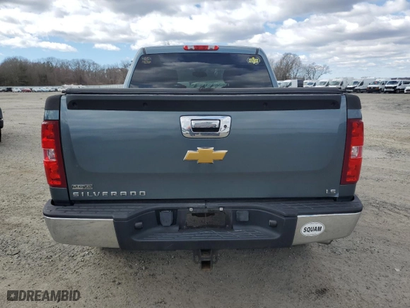 2010 Chevrolet Silverado 1500 LS with VIN 3GCRKREA3AG270621, listed as a Copart auction lot 50975185 with 103,021 mi miles and Clean Title. Bid and sale history available at carsss.com. Image 6.