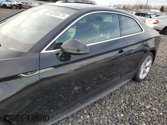 2019 Audi A5 Premium Plus with VIN WAUTNAF59KA007501, listed as a Copart auction lot 42559375 with Not Provided miles and Salvage Title. Bid and sale history available at DreamBid. Image 7.