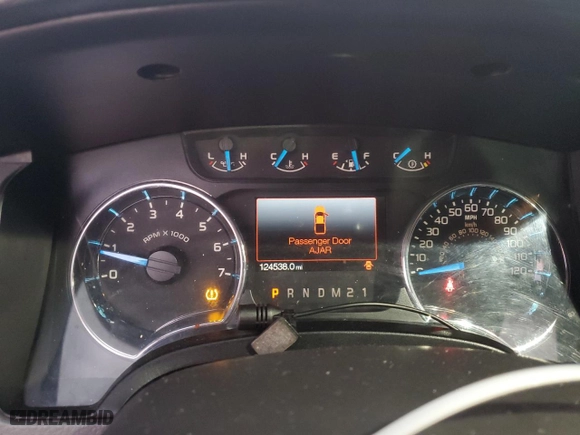 2013 Ford F-150 XL with VIN 1FTFX1CT6DFC88336, listed as a Copart auction lot 84088974 with 124,538 mi miles and Salvage Title. Bid and sale history available at carsss.com. Image 9.