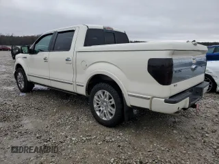 2009 Ford F-150 XL with VIN 1FTPW12V79FA36743, listed as a Copart auction lot 85821924 with 165,321 mi miles and Salvage Title. Bid and sale history available at carsss.com. Image 2.