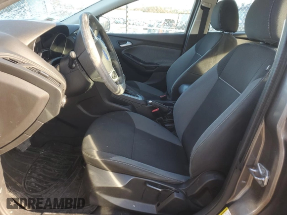 2014 Ford Focus SE with VIN 1FADP3K2XEL367335, listed as a Copart auction lot 48948755 with Not Provided miles and Non Repairable. Bid and sale history available at carsss.com. Image 7.
