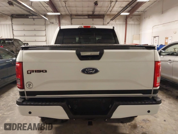 2016 Ford F-150 XLT with VIN 1FTEW1EF8GFD43685, listed as a IAAI auction lot 41984872 with 133,132 mi miles and . Bid and sale history available at carsss.com. Image 16.